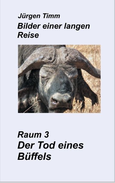 Cover von Raum 3 Der Tod eines Büffels