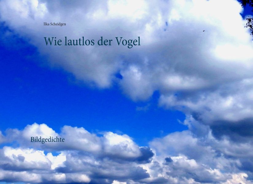 Cover von Wie lautlos der Vogel
