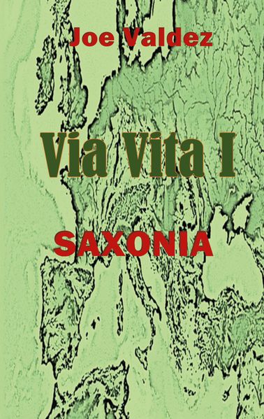 Cover von Via Vita I