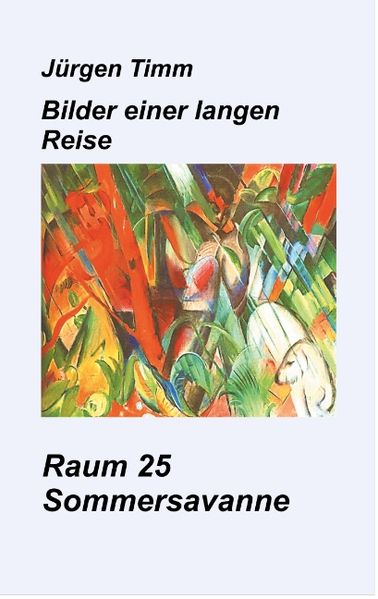 Cover von Raum 25 Sommersavanne
