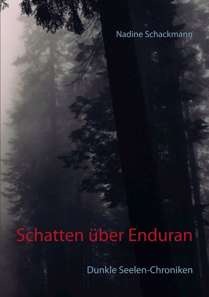 Cover von Schatten über Enduran