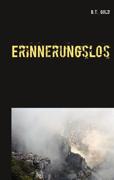 Cover von Erinnerungslos