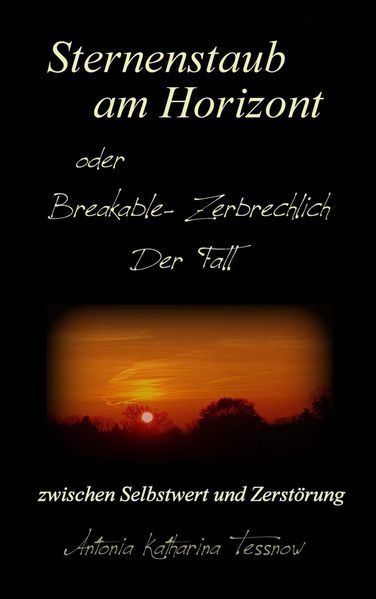 Cover von Sternenstaub am Horizont oder Breakable – Zerbrechlich: Der Fall