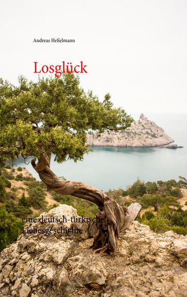 Cover von Losglück