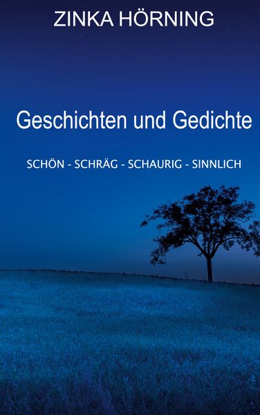 Cover von Geschichten und Gedichte