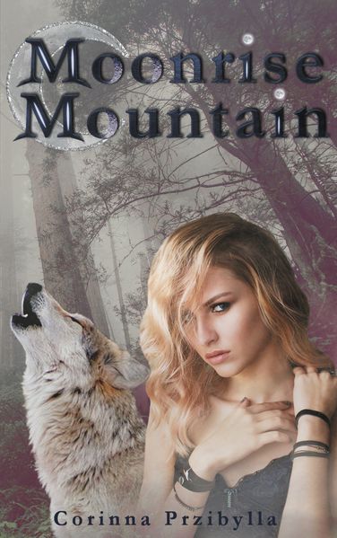 Cover von Moonrise Mountain
