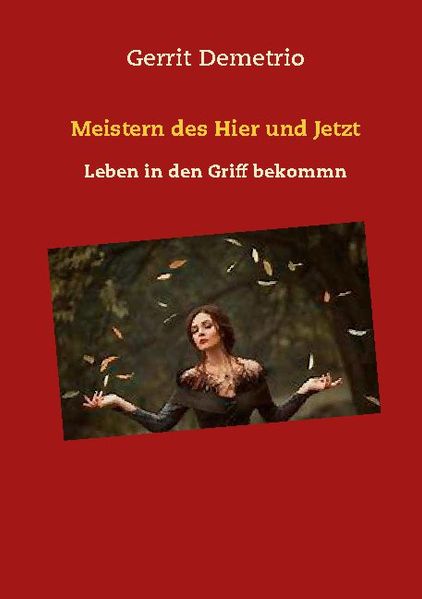 Cover von Meistern des Hier und Jetzt