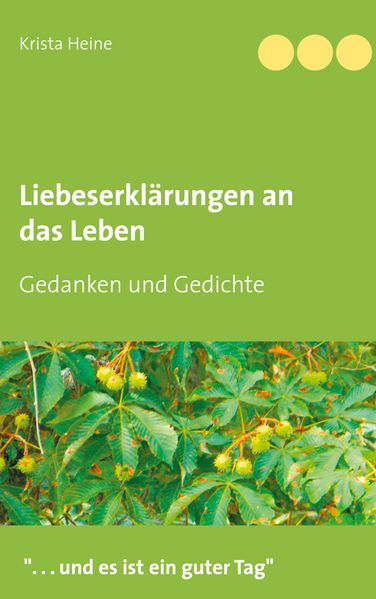 Cover von Liebeserklärungen an das Leben