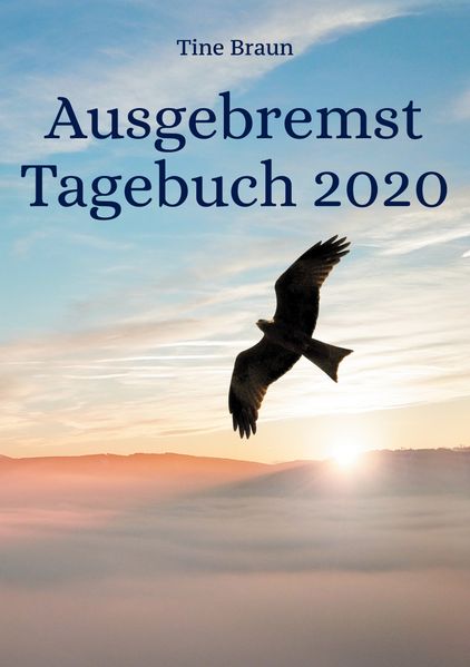 Cover von Ausgebremst Tagebuch 2020