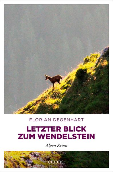 Cover von Letzter Blick zum Wendelstein