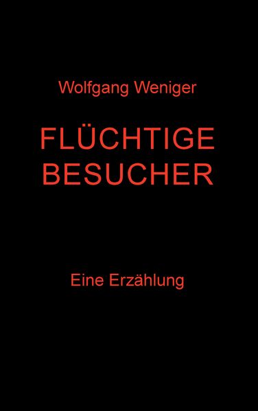 Cover von Flüchtige Besucher