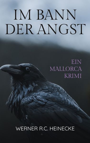 Cover von Im Bann der Angst