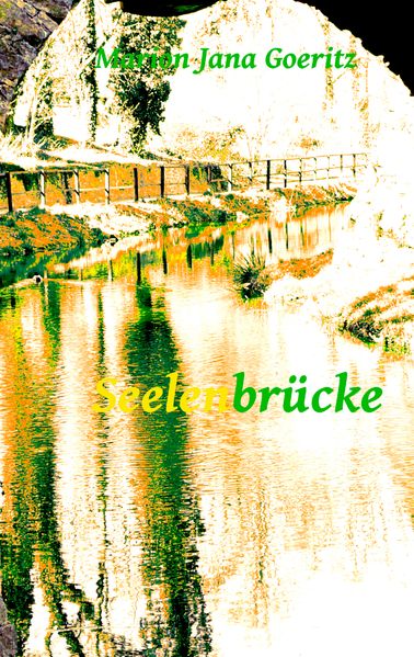 Cover von Seelenbrücke