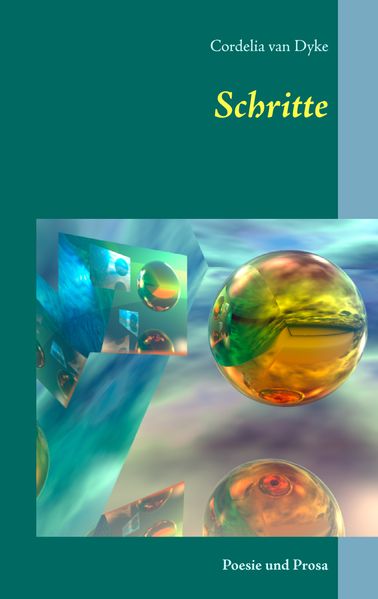 Cover von Schritte