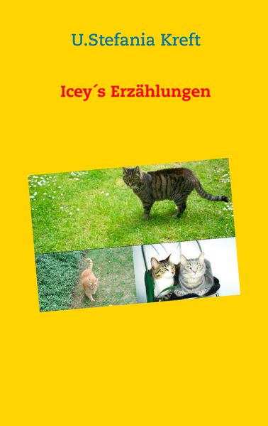 Cover von Icey´s Erzählungen