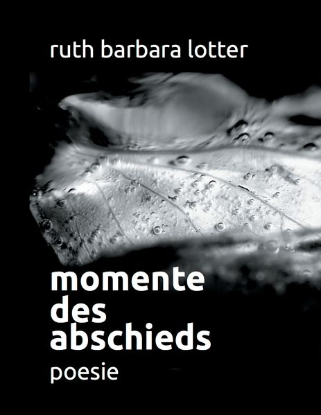 Cover von Momente des Abschieds