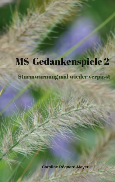 Cover von MS-Gedankenspiele 2