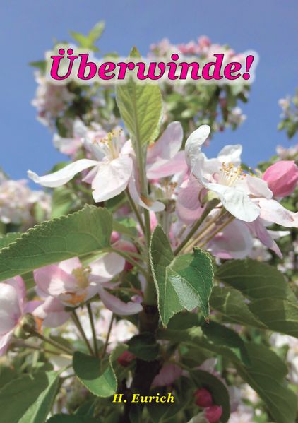 Cover von Überwinde