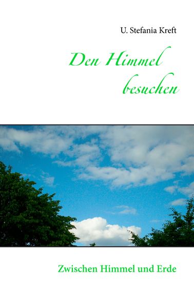 Cover von Den Himmel besuchen