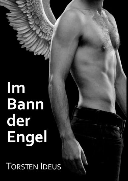 Cover von Im Bann der Engel