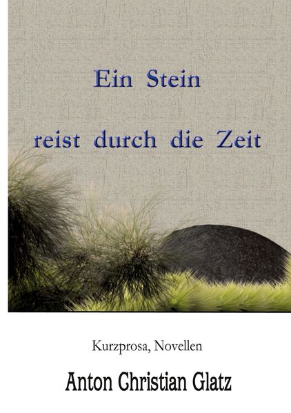 Cover von Ein Stein reist durch die Zeit