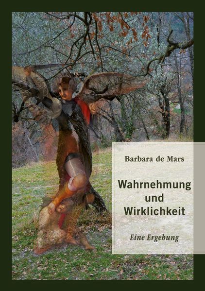 Cover von Wahrnehmung und Wirklichkeit