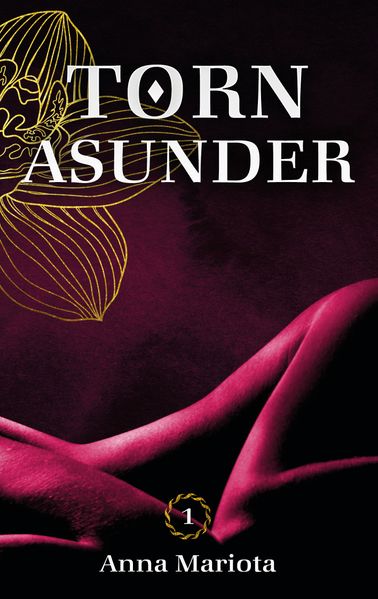Cover von Torn Asunder 1
