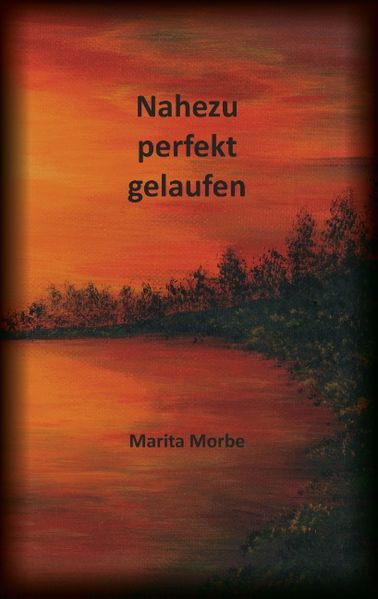 Cover von Nahezu perfekt gelaufen
