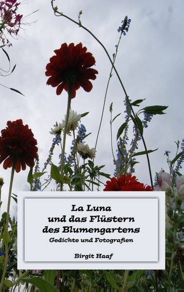 Cover von La Luna und das Flüstern des Blumengartens
