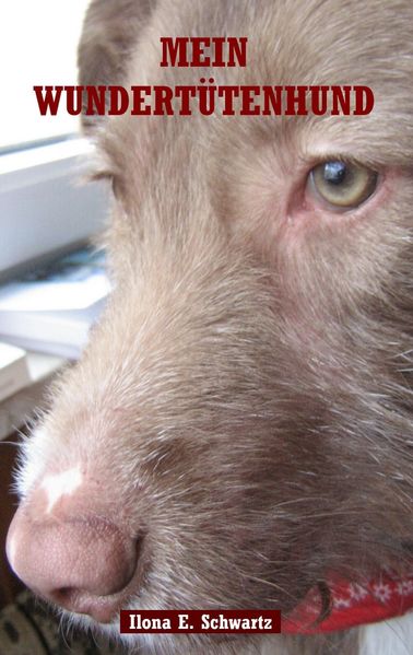 Cover von Mein Wundertütenhund