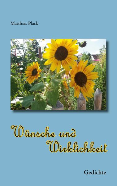 Cover von Wünsche und Wirklichkeit