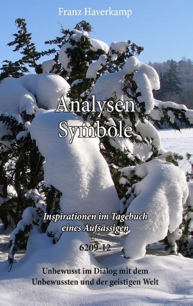 Cover von Analysen Symbole 6209-12