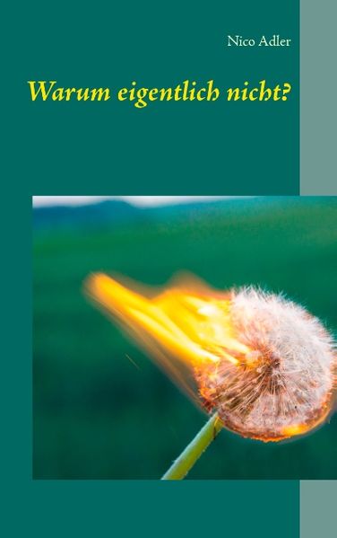 Cover von Warum eigentlich nicht?