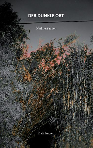 Cover von Der dunkle Ort