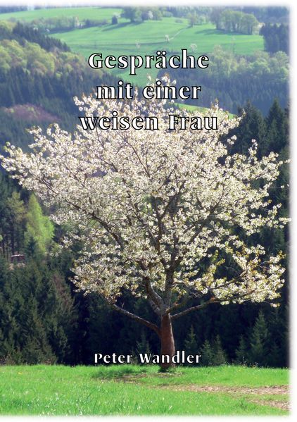 Cover von Gespräche mit einer weisen Frau