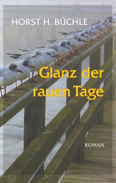 Cover von Glanz der rauen Tage