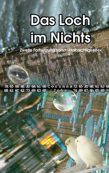 Cover von Das Loch im Nichts