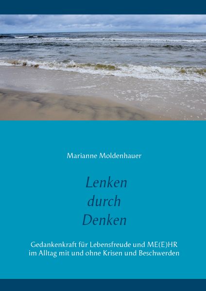 Cover von Lenken durch Denken