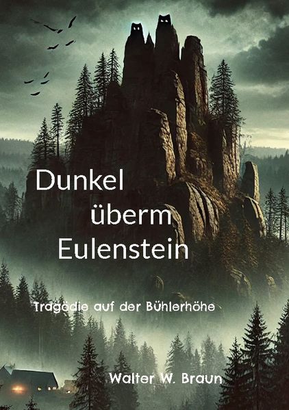 Cover von Dunkel überm Eulenstein