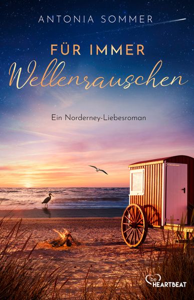 Cover von Für immer Wellenrauschen