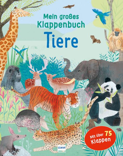 Cover von Mein großes Klappenbuch – Erde