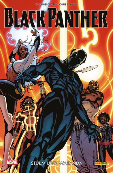 Cover von Black Panther