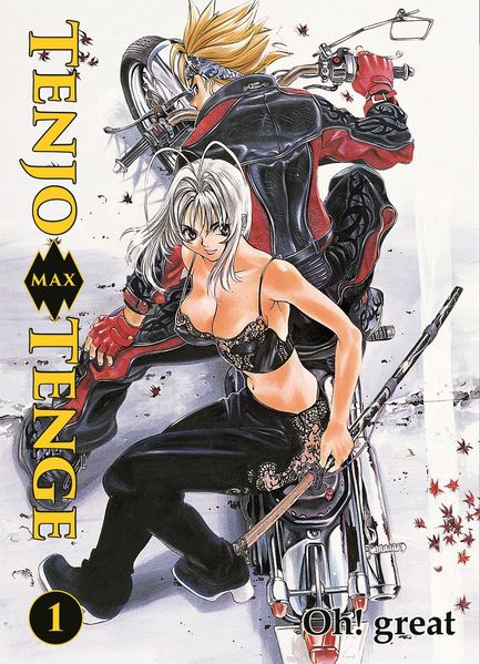 Cover von Tenjo Tenge Max: Starter-Spar-Pack