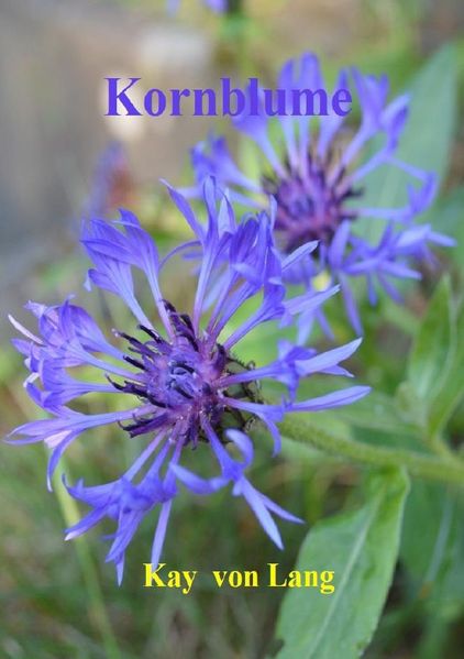 Cover von Kornblume