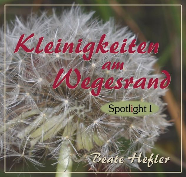 Cover von Spotlight / Kleinigkeiten am Wegesrand