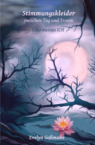 Cover von Stimmungskleider zwischen Tag und Traum