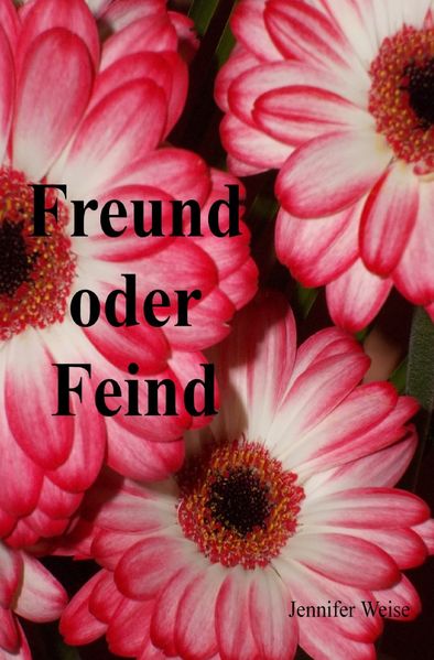 Cover von Freund oder Feind