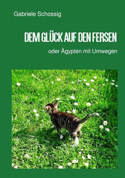 Cover von Dem Glück auf den Fersen