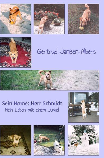Cover von Sein Name: Herr Schmidt
