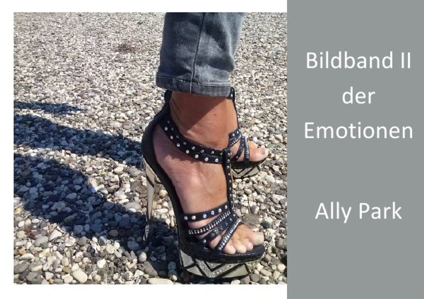Cover von Bildbandreihe / Bildband der Emotionen II